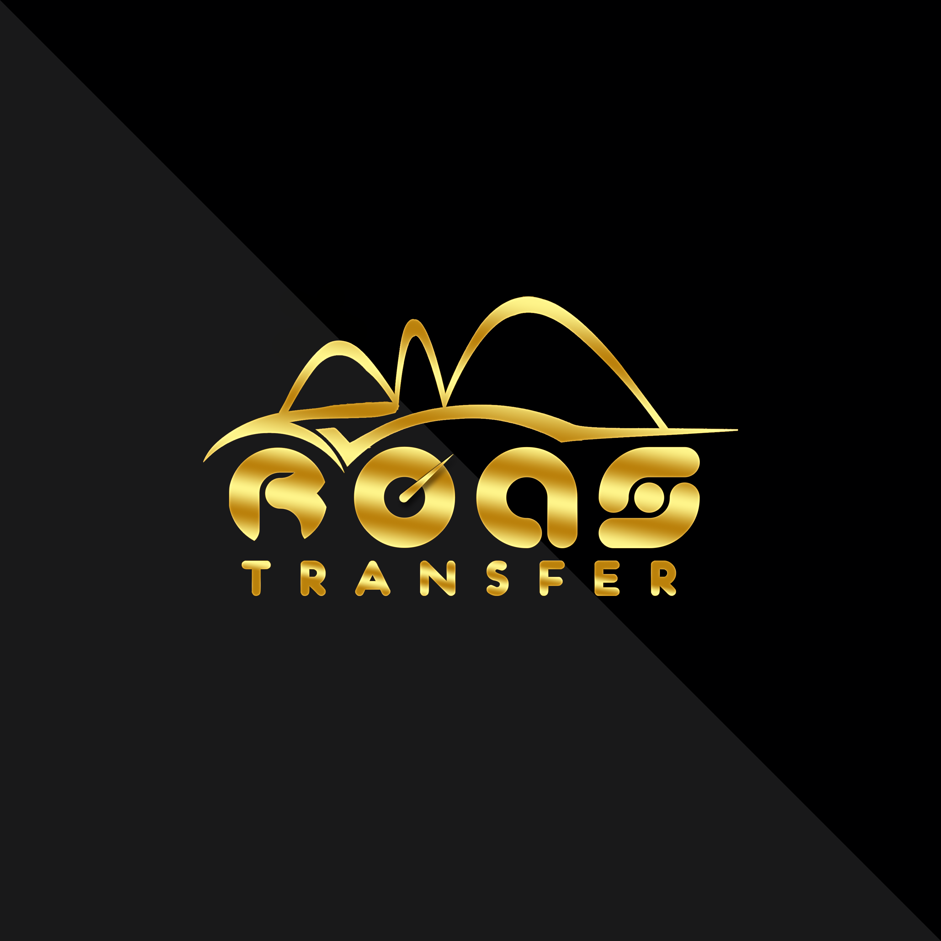 Pedro Vitor Design Profile